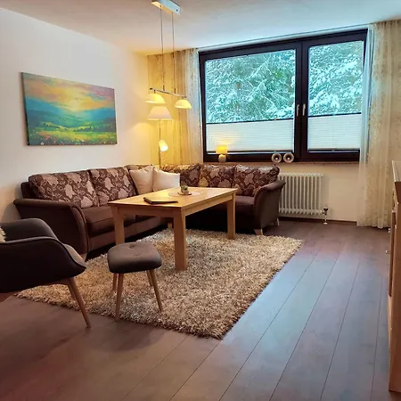 Osternest - Gemuetlich, Familienfreundlich, Pool, Sauna, Elektrokamin, Wlan Nahe Dem Skiliftkarussell Appartamento