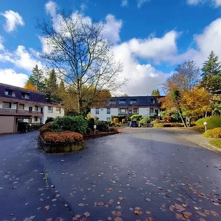 公寓 Osternest - Gemuetlich, Familienfreundlich, Pool, Sauna, Elektrokamin, Wlan Nahe Dem Skiliftkarussell *